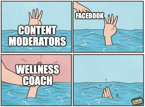 Wellness coaches